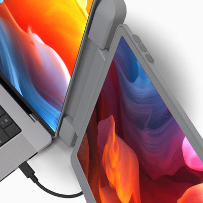 DualView Pro