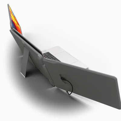 DualView Pro