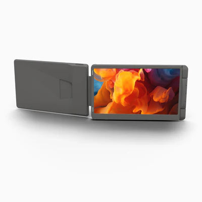 DualView Pro