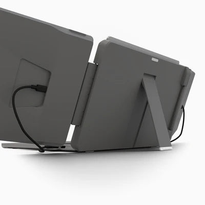 DualView Pro